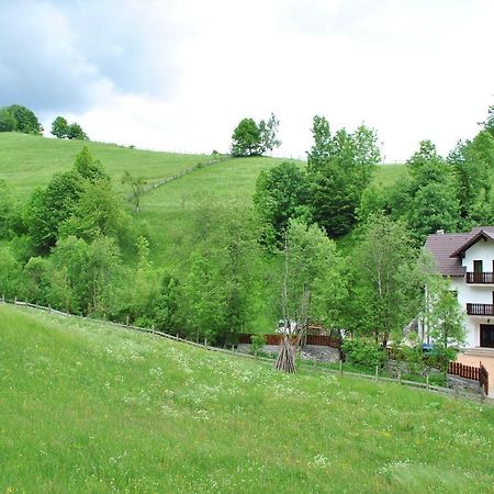 La Craita Villa Bran  Exteriör bild