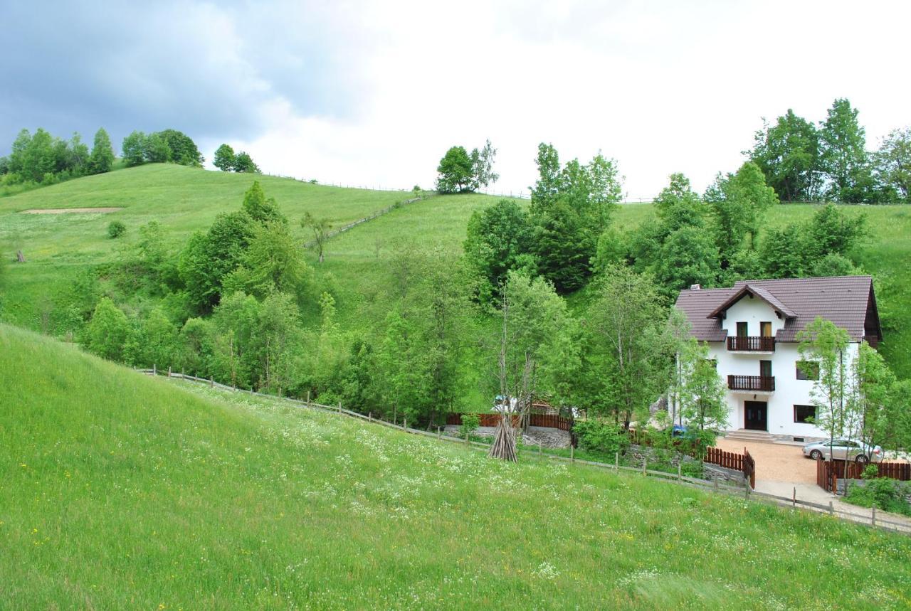 La Craita Villa Bran  Exteriör bild