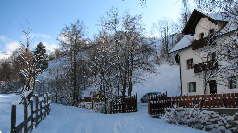 La Craita Villa Bran  Exteriör bild