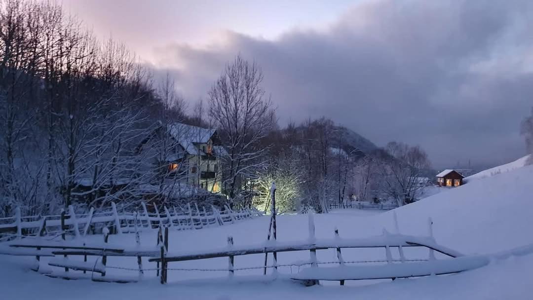 La Craita Villa Bran  Exteriör bild