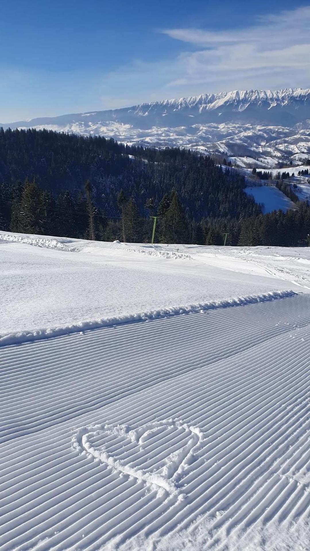 La Craita Villa Bran  Exteriör bild